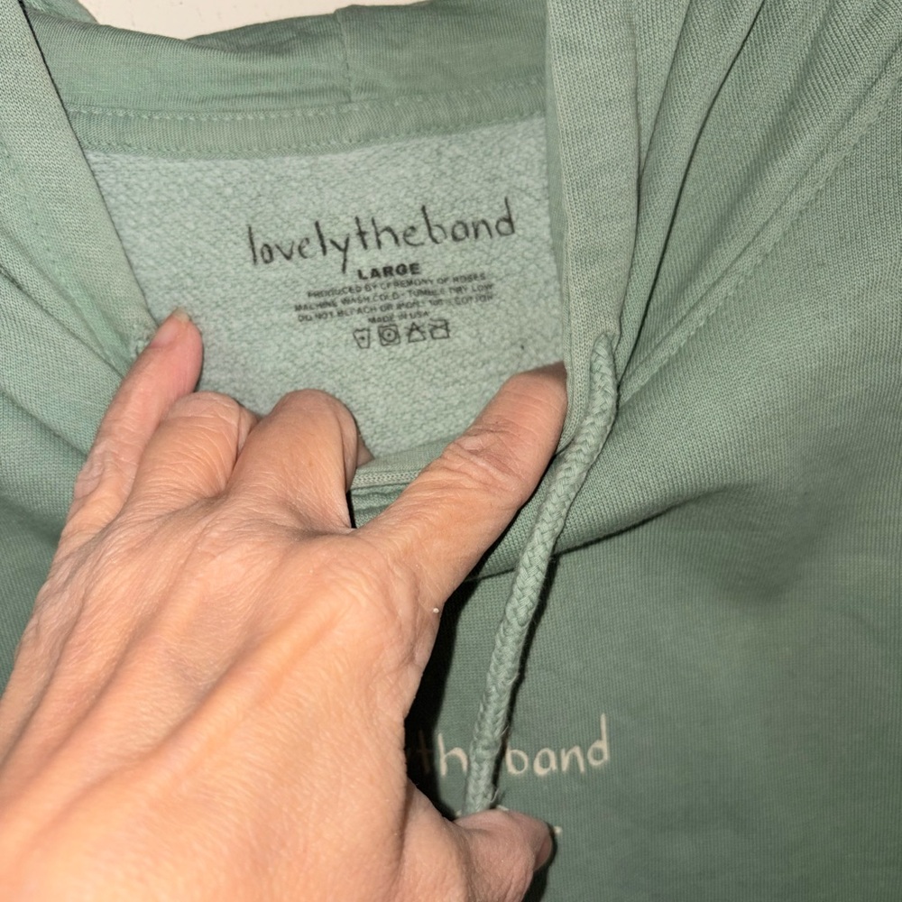 Lovely the Band size large hoodie - Picture 3 of 5